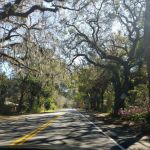 Savannah road